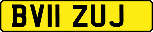 BV11ZUJ