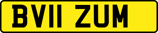 BV11ZUM
