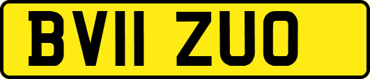 BV11ZUO