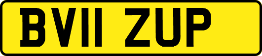 BV11ZUP