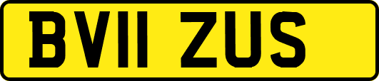 BV11ZUS