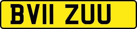 BV11ZUU