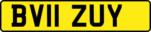 BV11ZUY