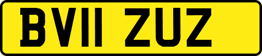 BV11ZUZ