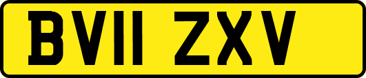 BV11ZXV