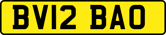 BV12BAO