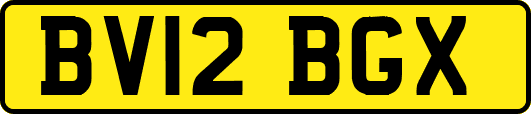 BV12BGX