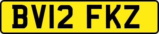 BV12FKZ