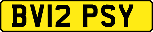 BV12PSY