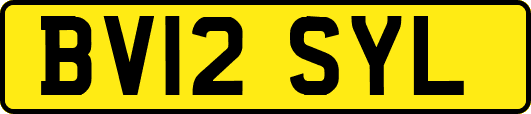 BV12SYL
