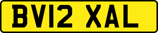 BV12XAL