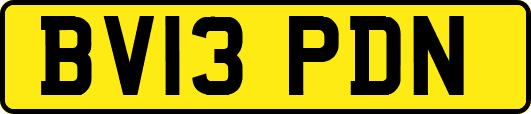 BV13PDN
