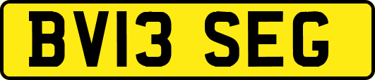 BV13SEG