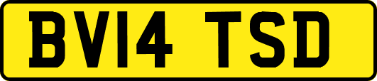BV14TSD