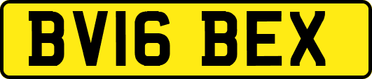 BV16BEX