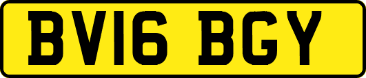 BV16BGY