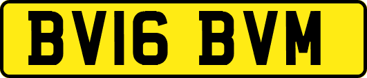 BV16BVM