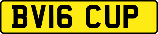 BV16CUP