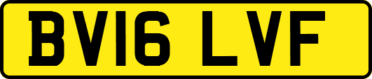 BV16LVF