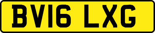 BV16LXG