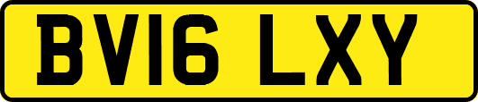 BV16LXY