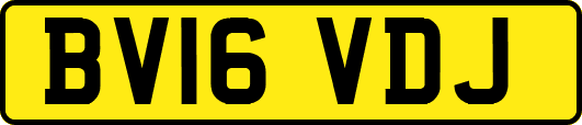 BV16VDJ