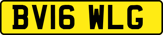 BV16WLG