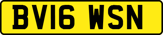 BV16WSN