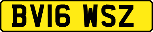 BV16WSZ