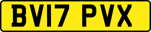 BV17PVX