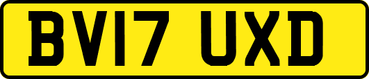 BV17UXD