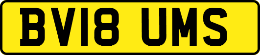BV18UMS
