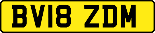 BV18ZDM