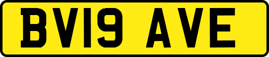 BV19AVE