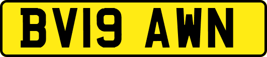 BV19AWN