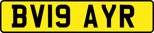 BV19AYR