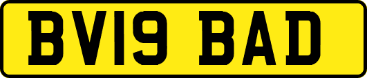 BV19BAD