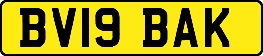BV19BAK