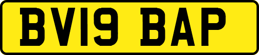 BV19BAP