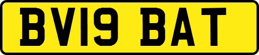 BV19BAT