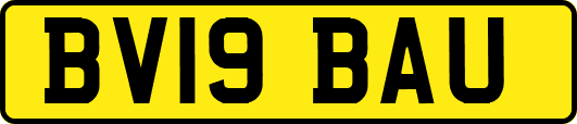 BV19BAU