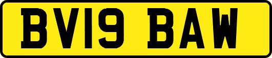 BV19BAW