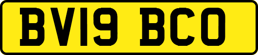 BV19BCO
