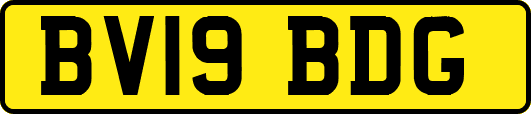 BV19BDG