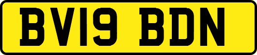 BV19BDN