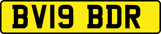 BV19BDR