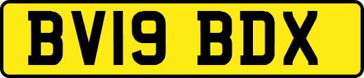 BV19BDX