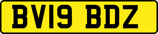 BV19BDZ