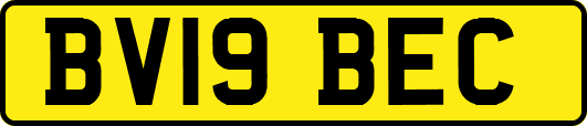 BV19BEC