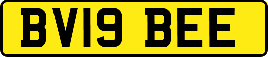 BV19BEE